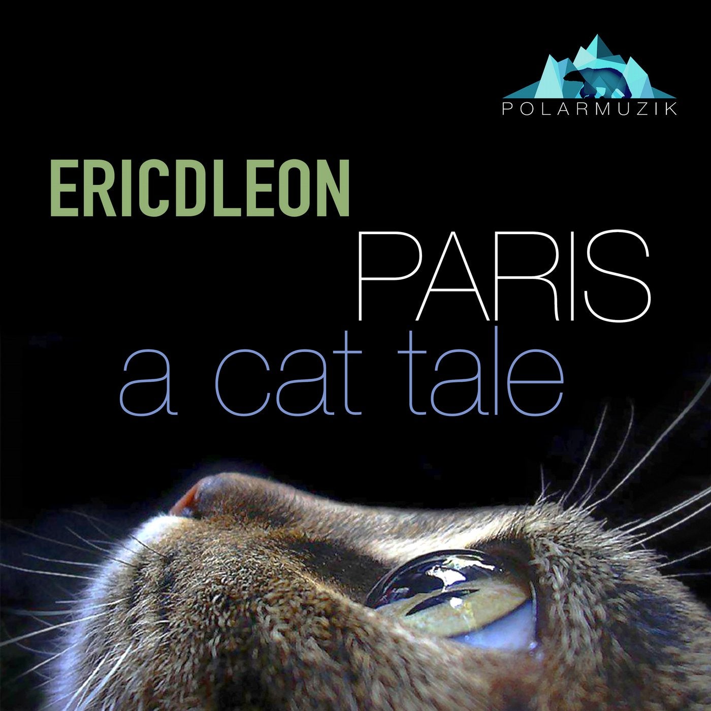 Paris a Cat Tale