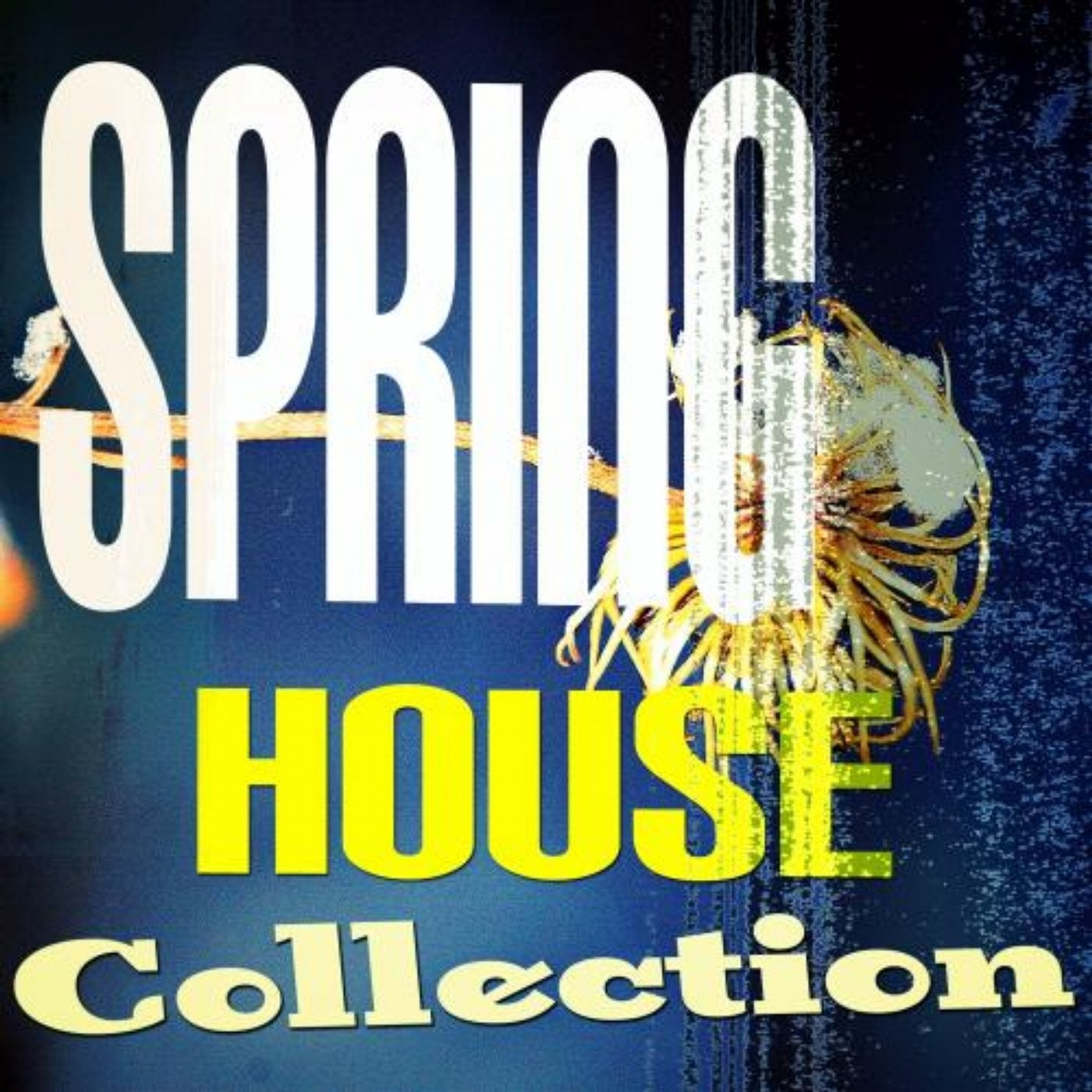 Spring House Collection