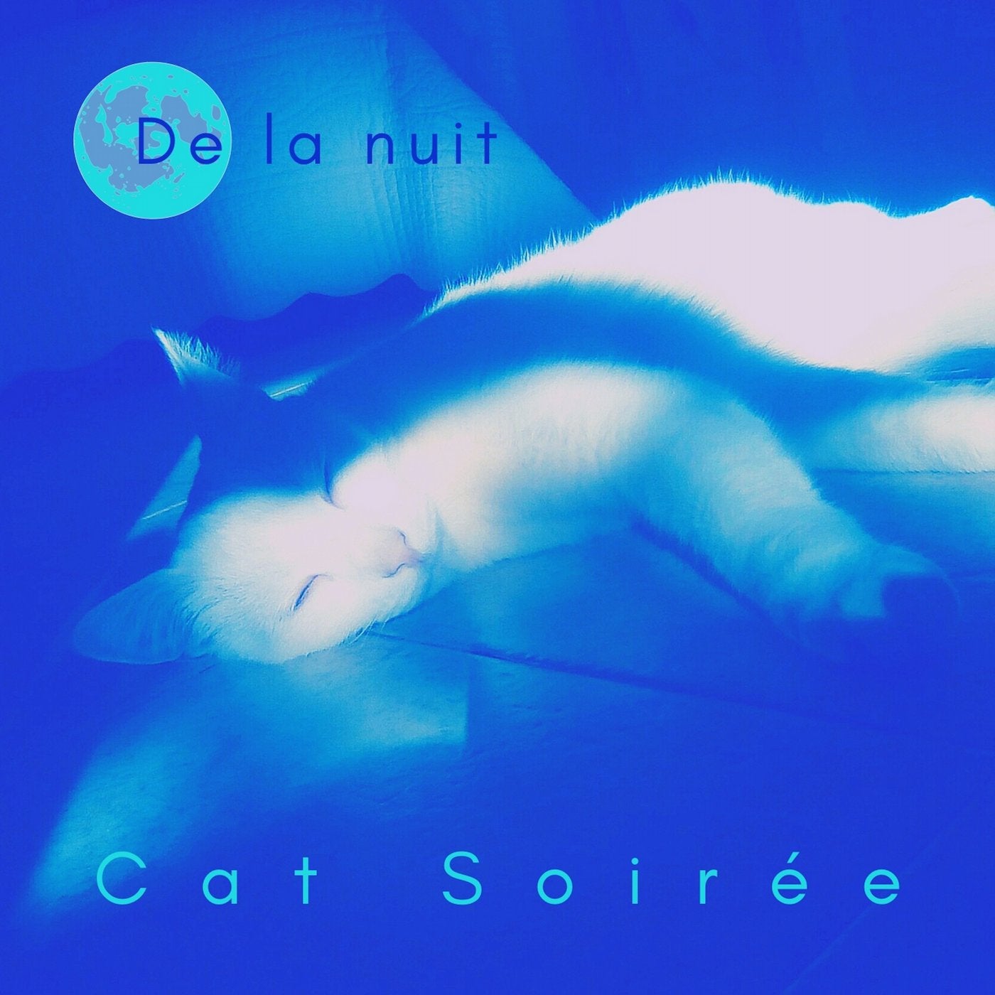 Cat Soirée