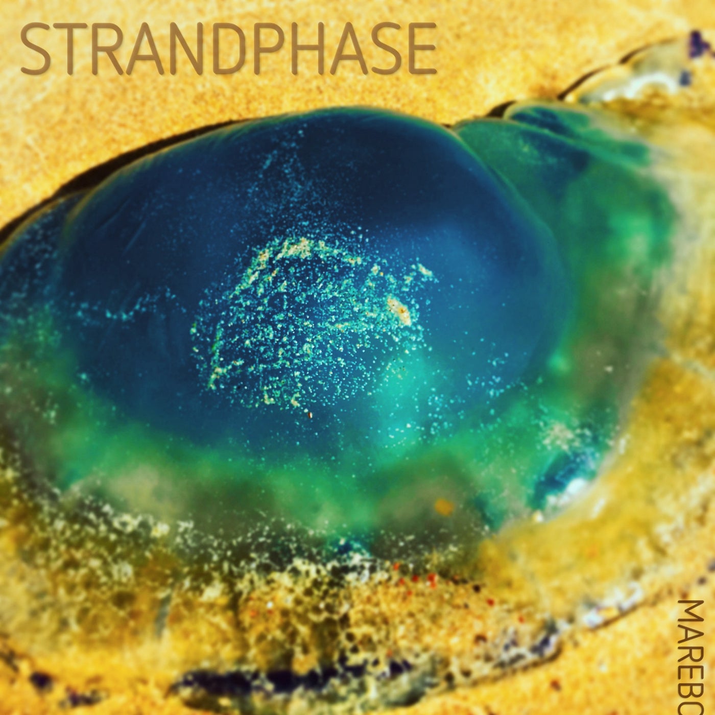 Strandphase