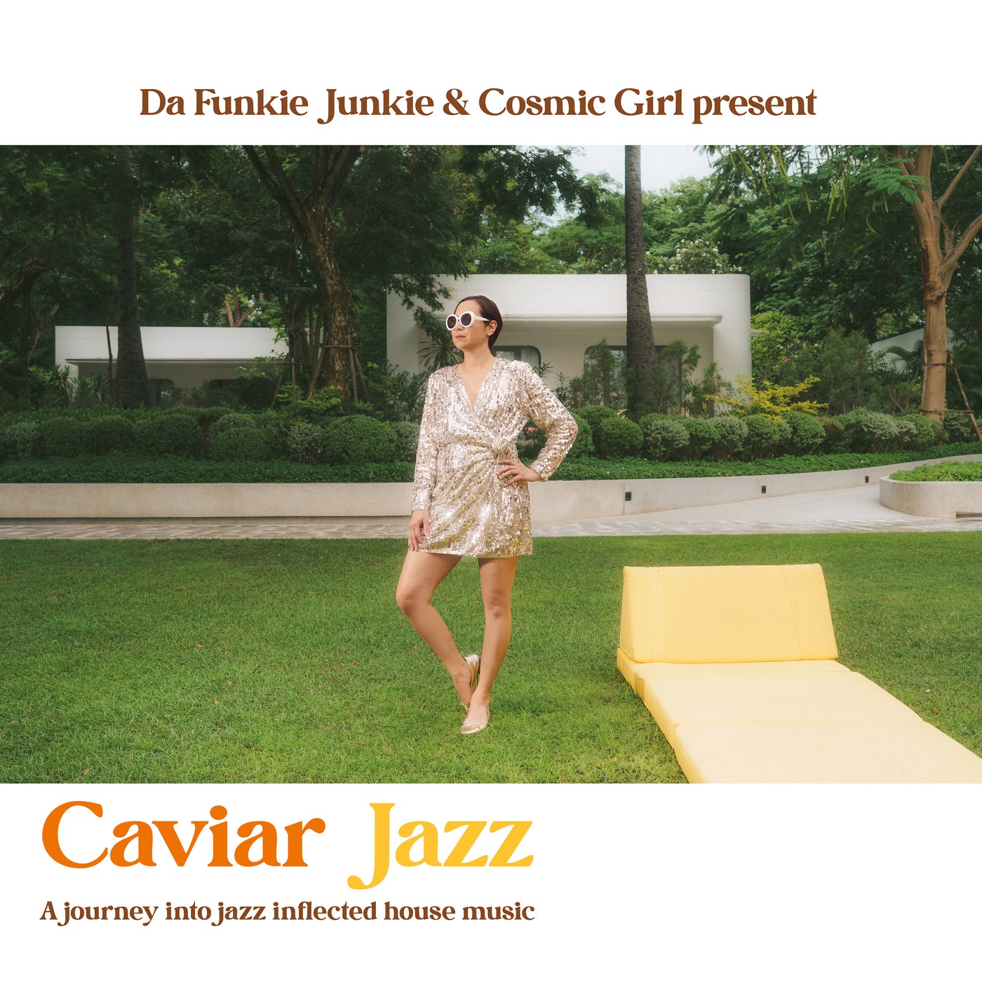 Cover art for Caviar Jazz (A journey into jazz inflected house music)