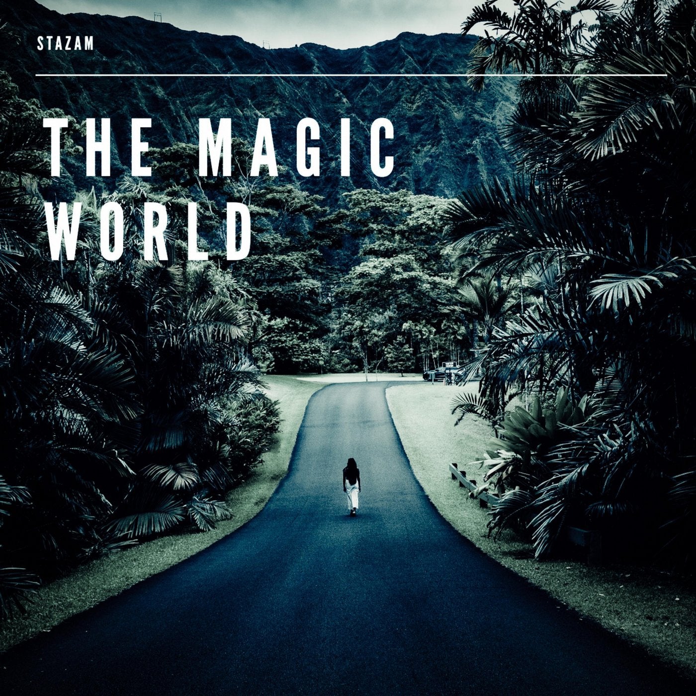 The Magic World