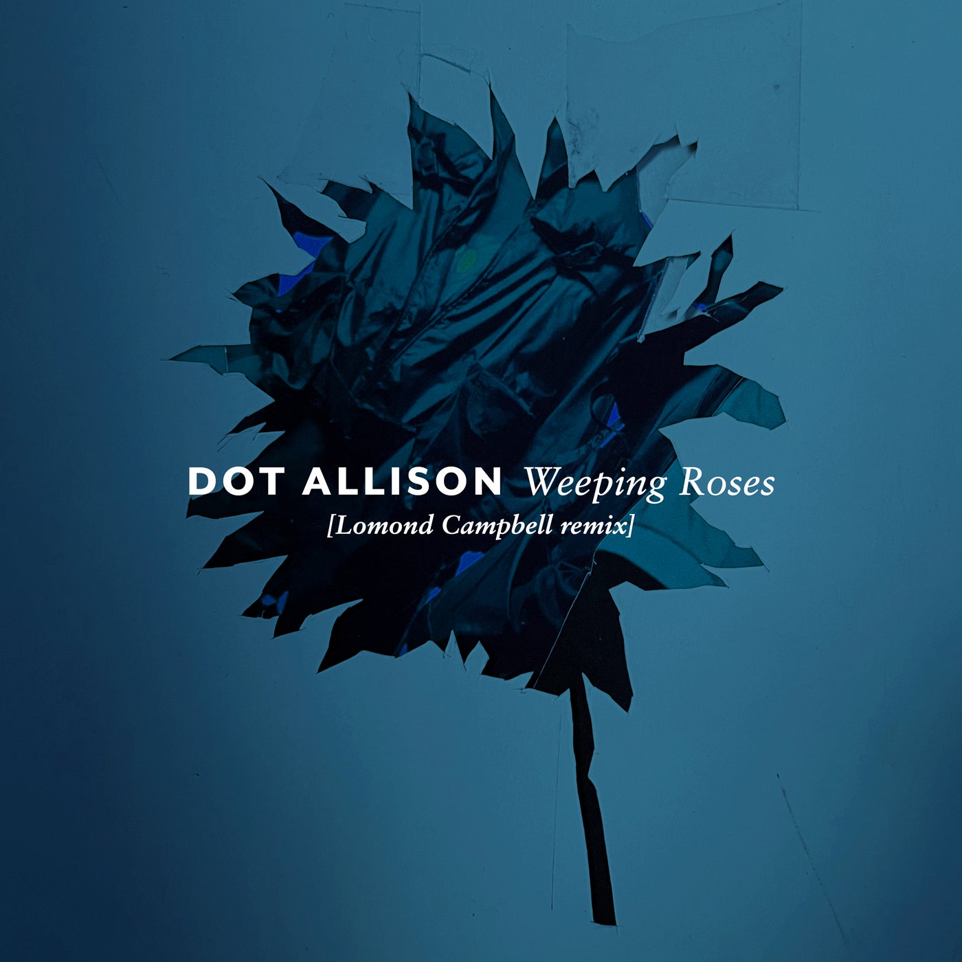 Weeping Roses