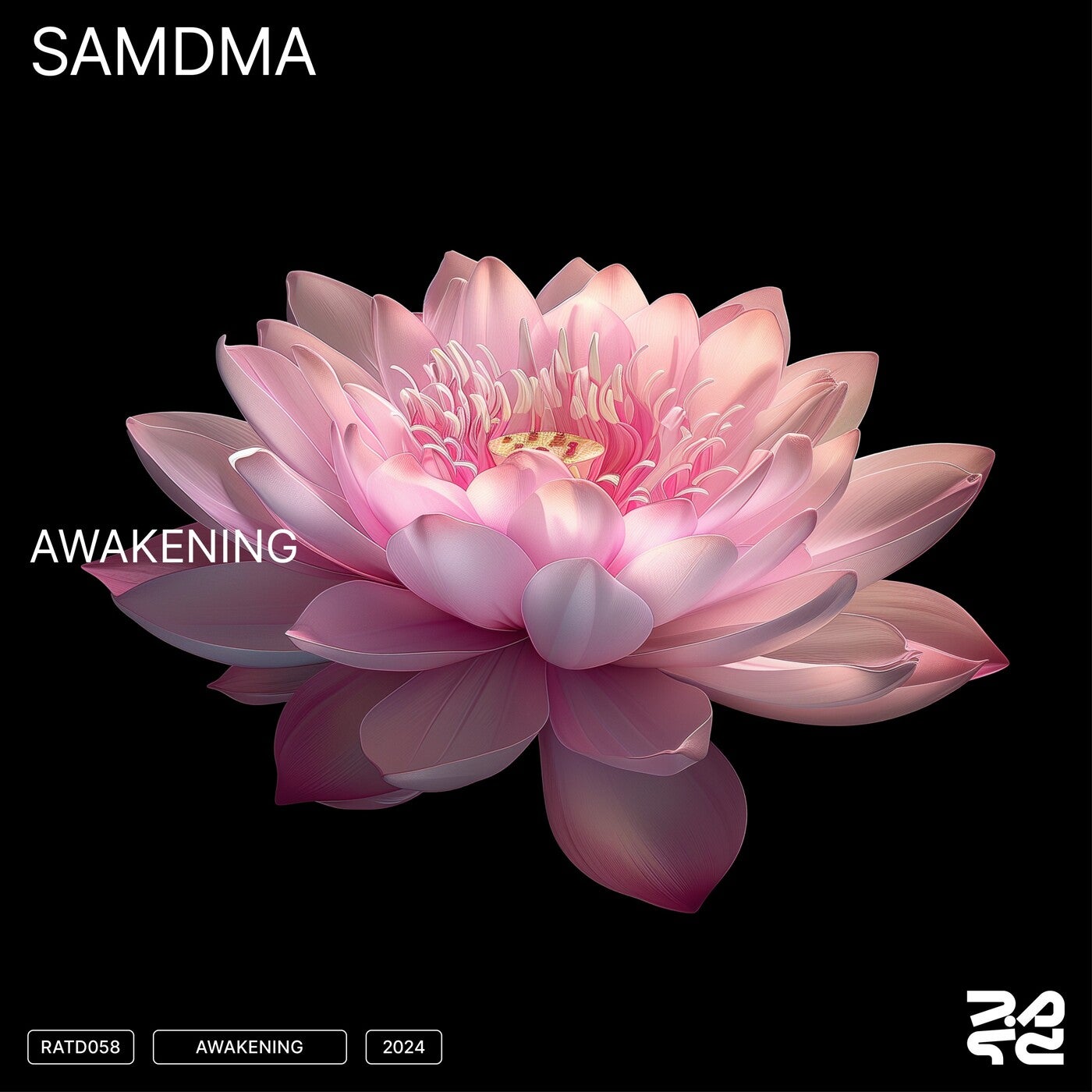 Awakening (Extended Mix)