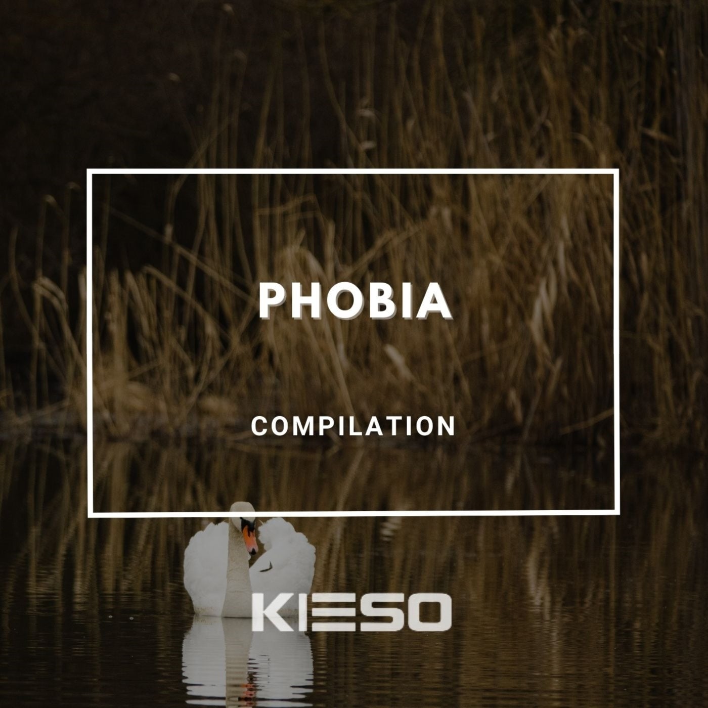 Phobia