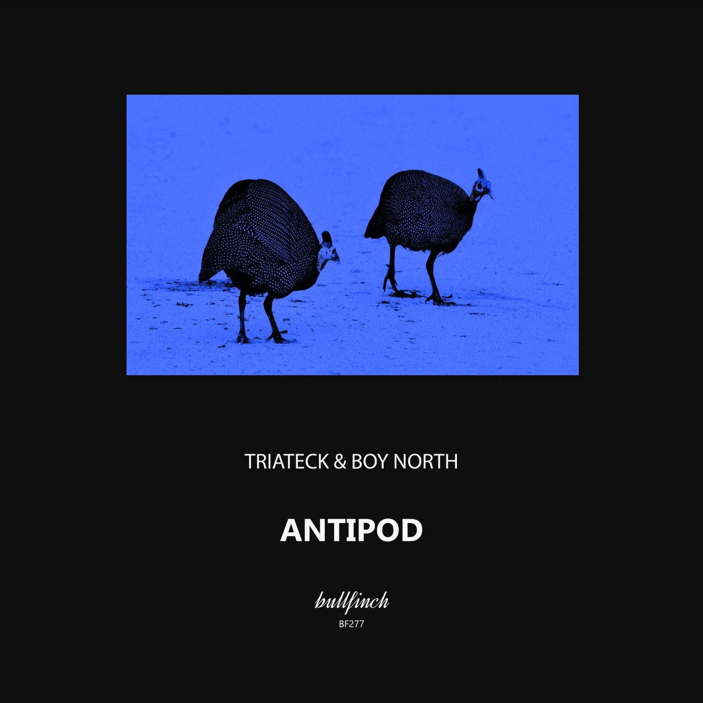 Antipod