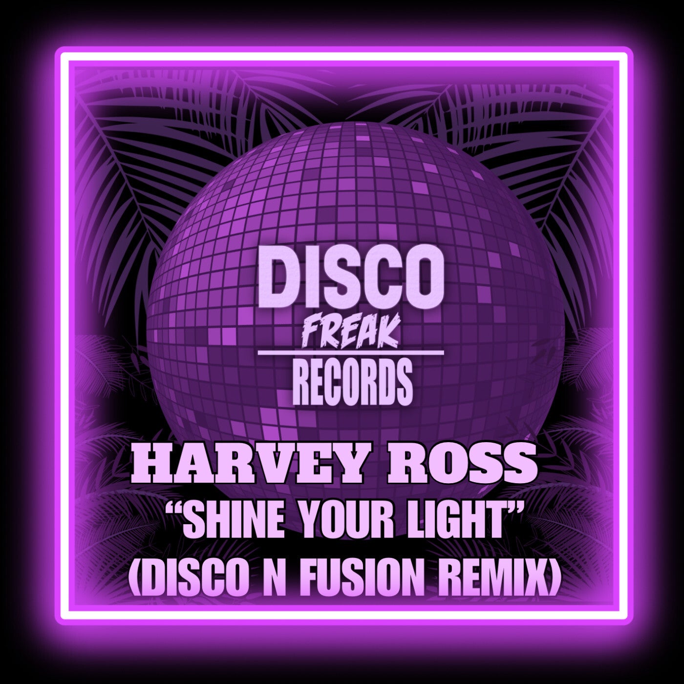 Shine Your Light (Disco N Fusion Remix)