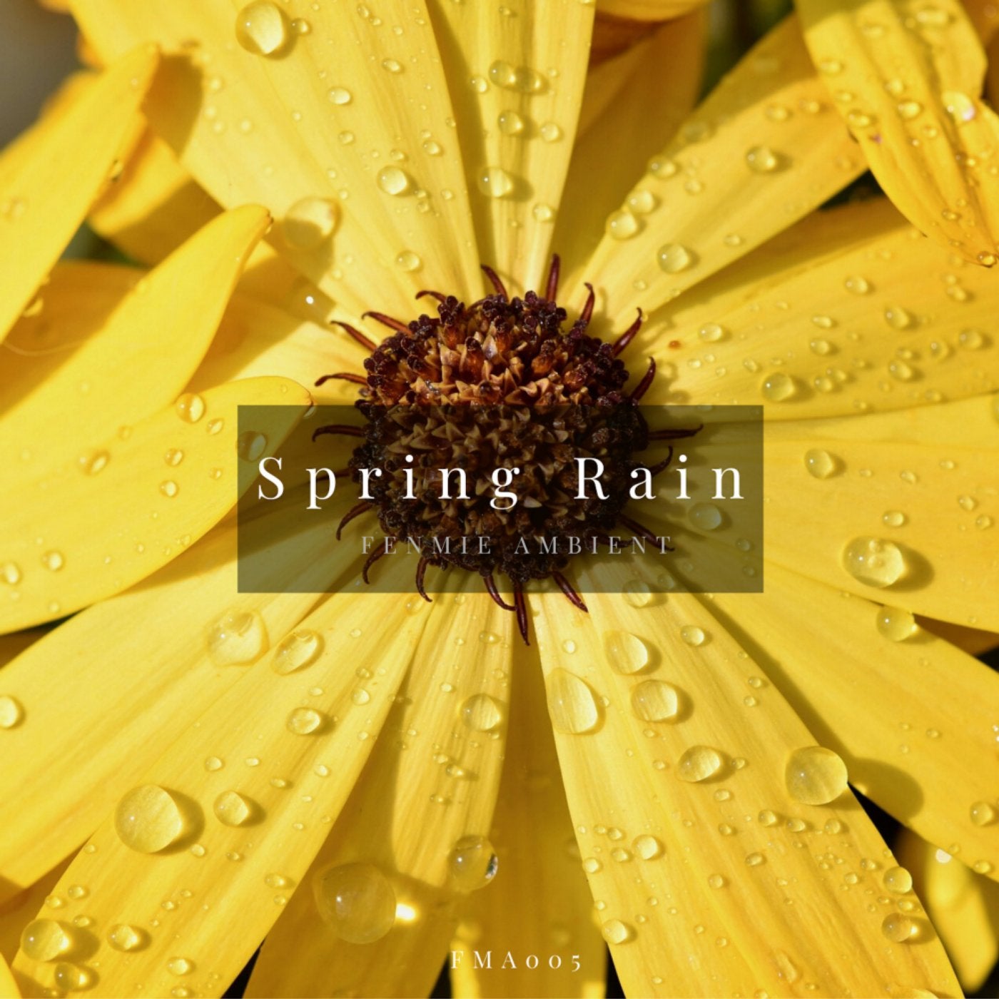 Spring Rain