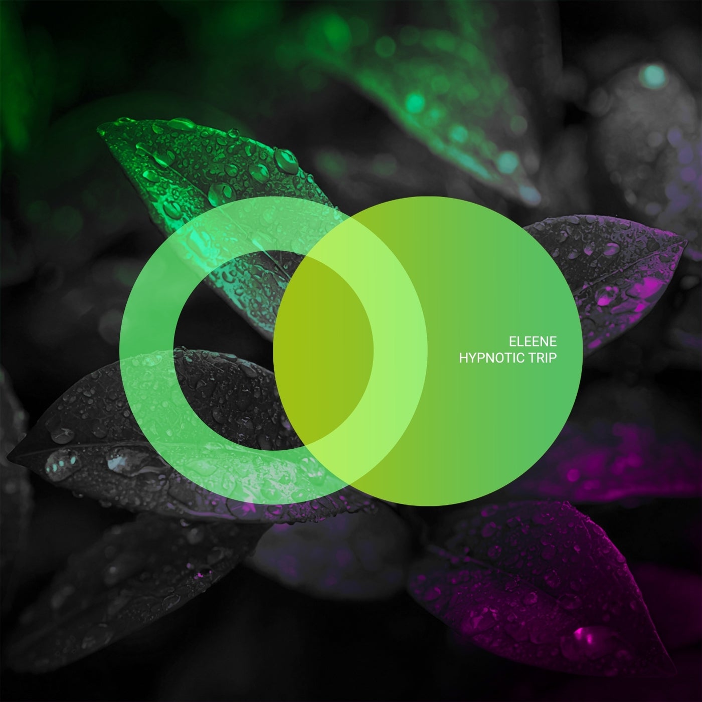 Cover art for Hypnotic Trip