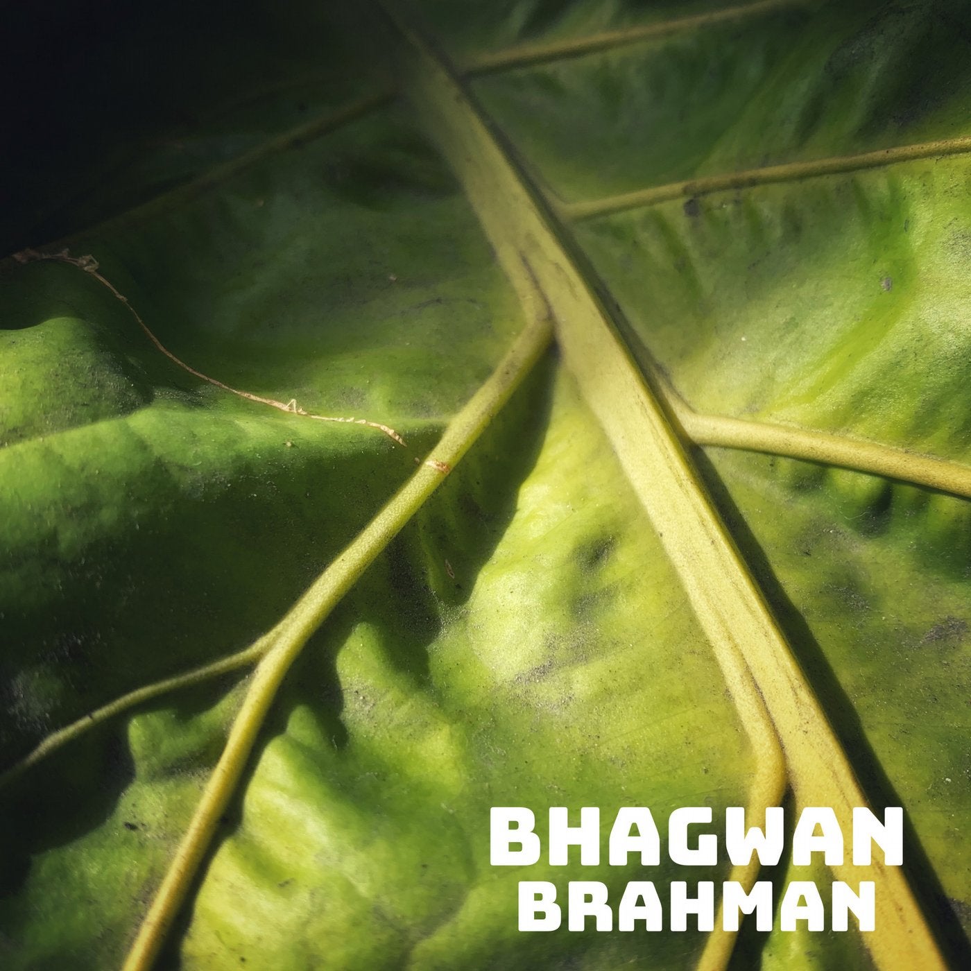 Brahman