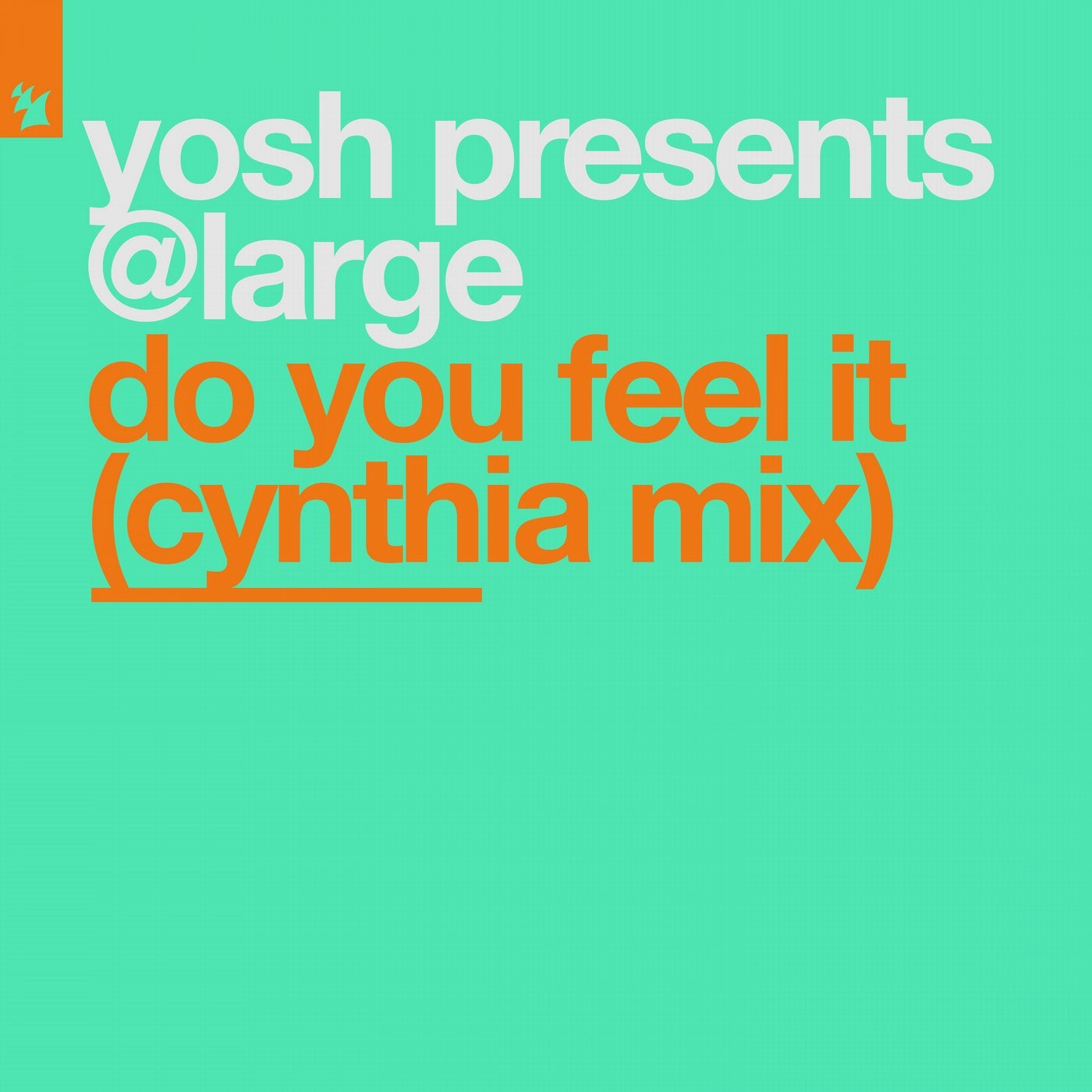 Do You Feel It - Cynthia Mix