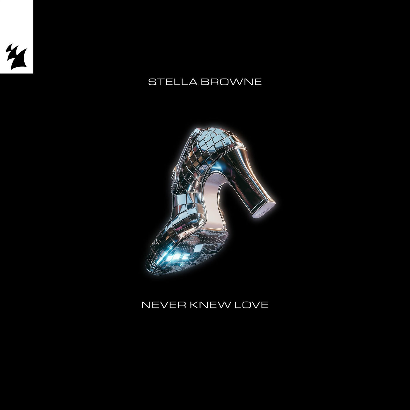 Never Knew Love