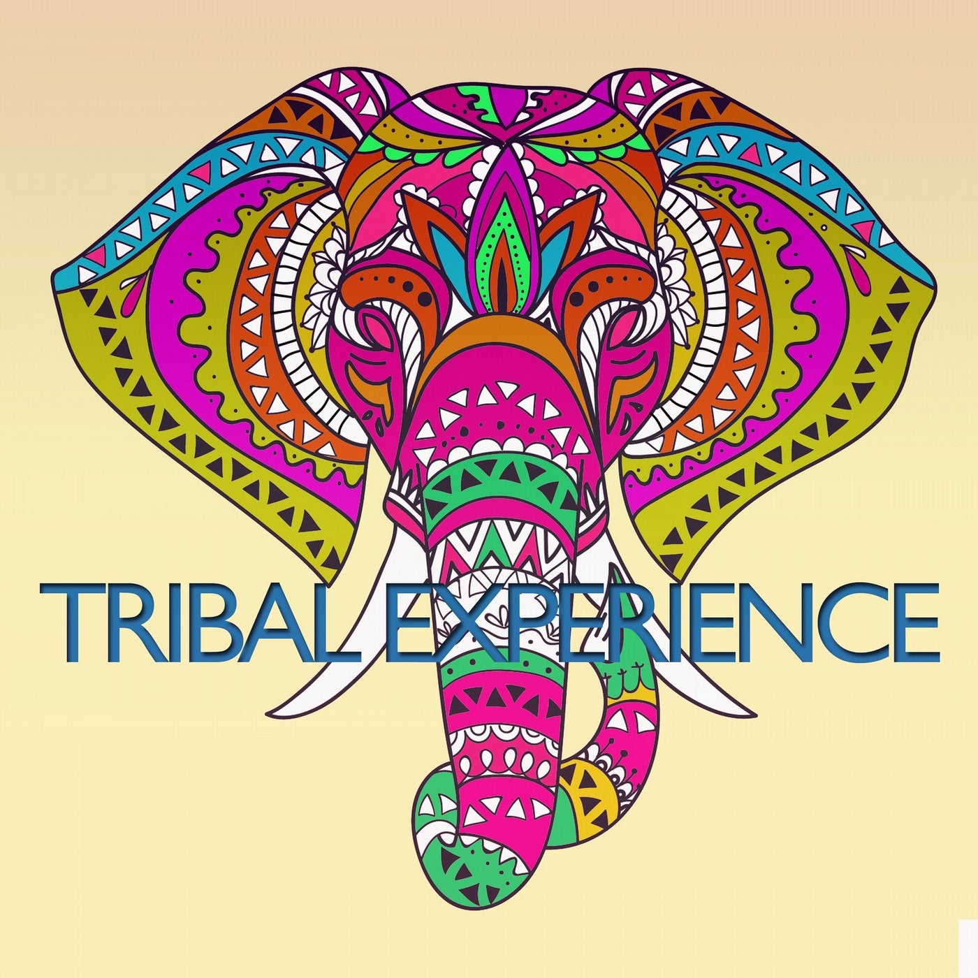 Tribal Experience