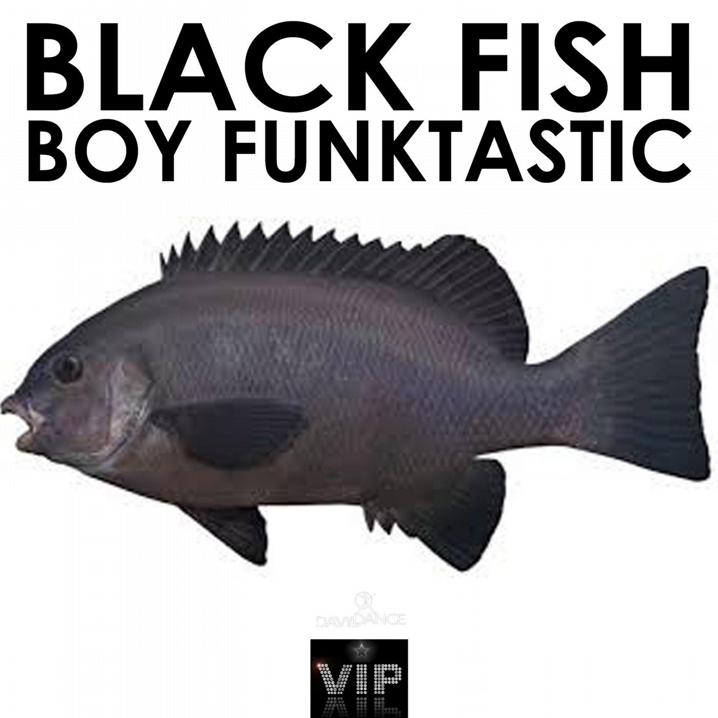 Black Fish - Single