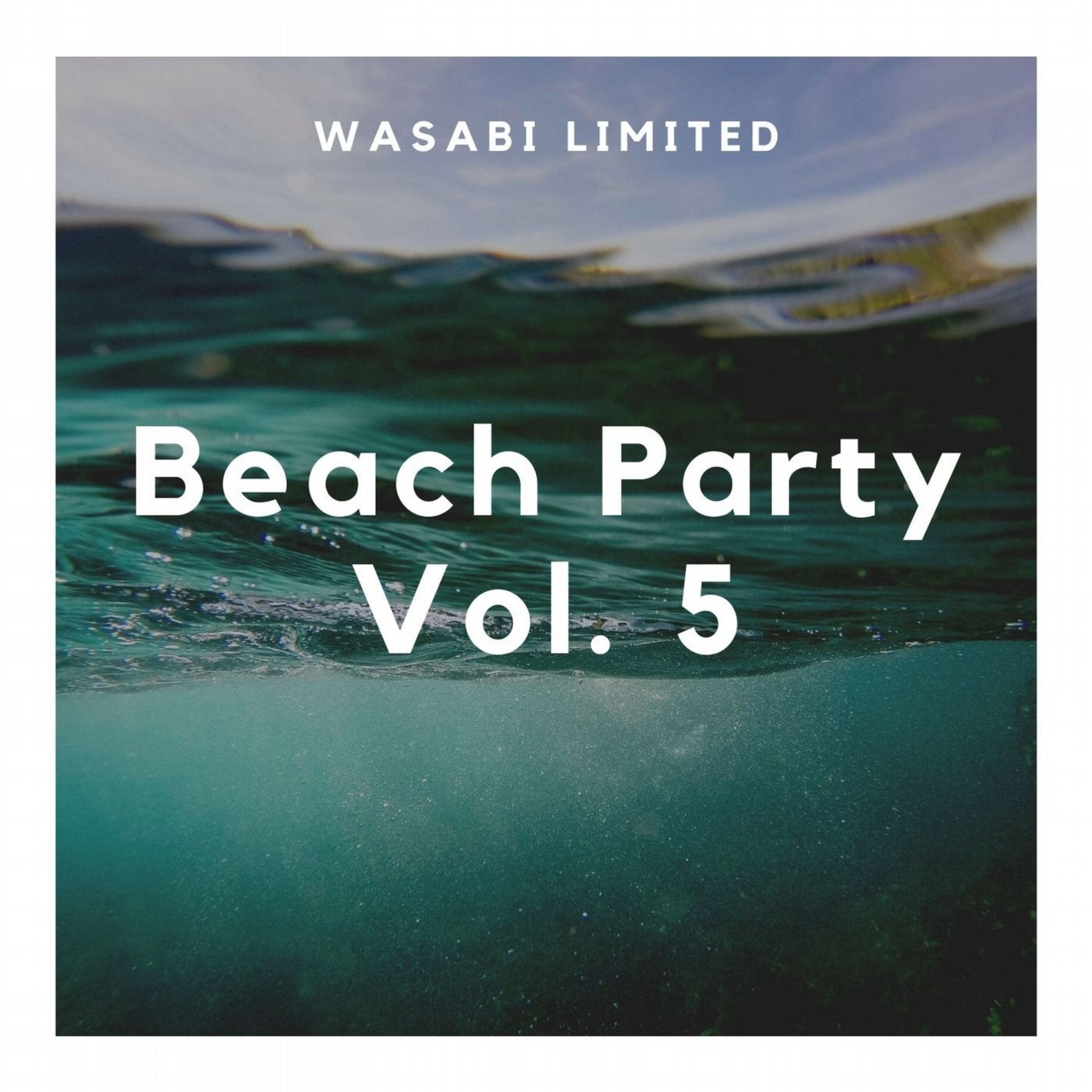 Beach Party Vol. 5