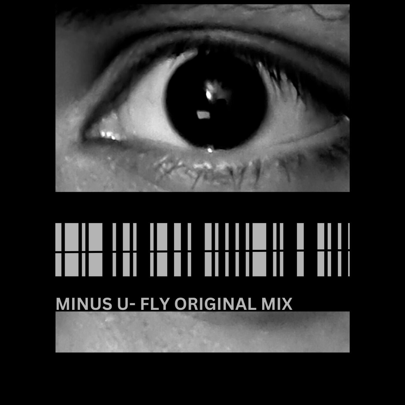 Fly Original Mix