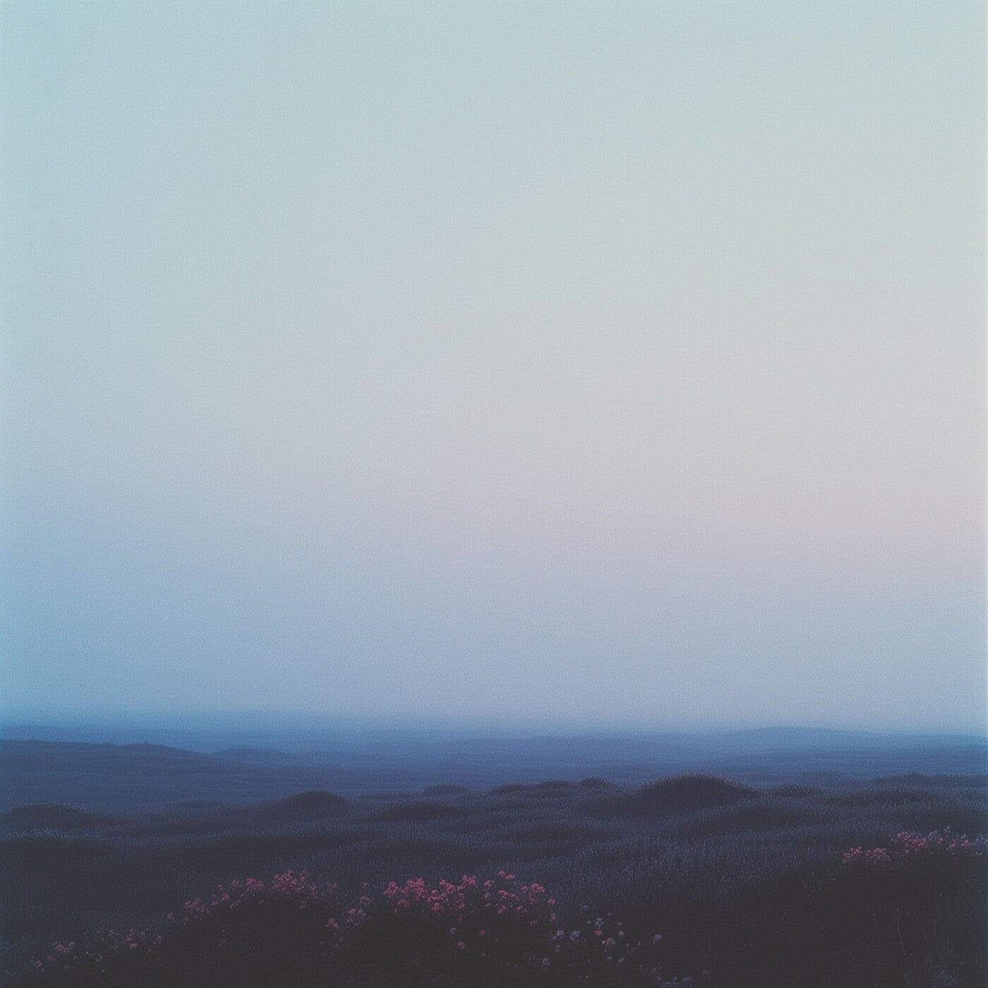 Fog