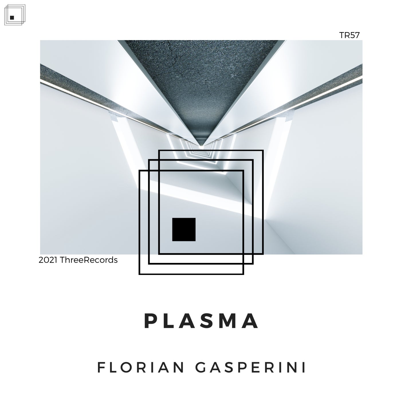 Plasma