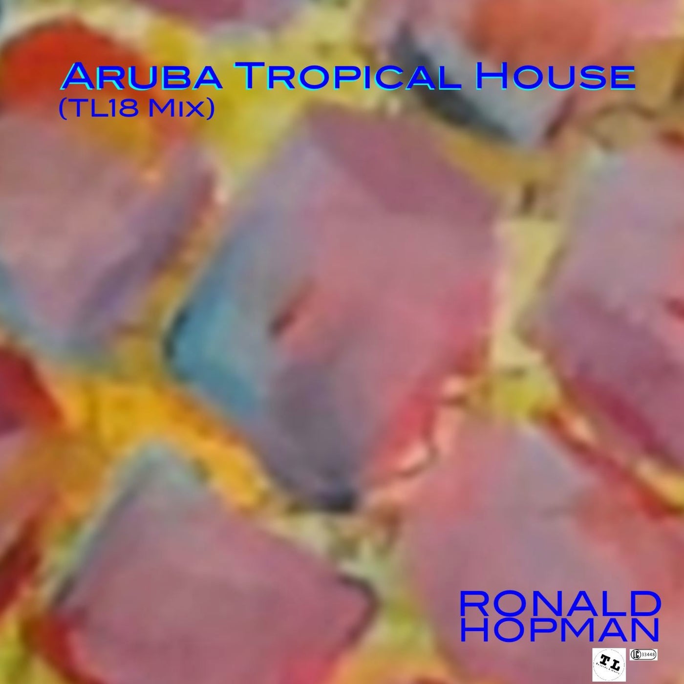 Aruba Tropical House