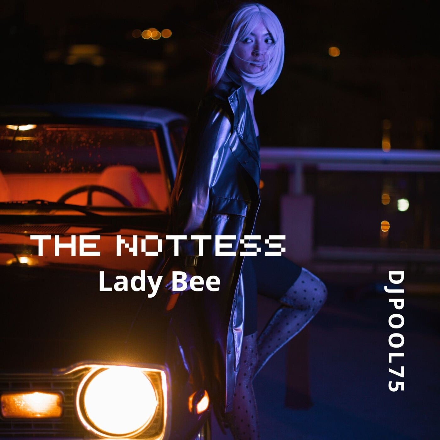 The Nottess