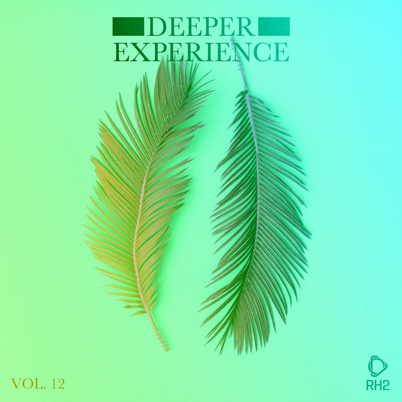Deeper Experience Vol. 12