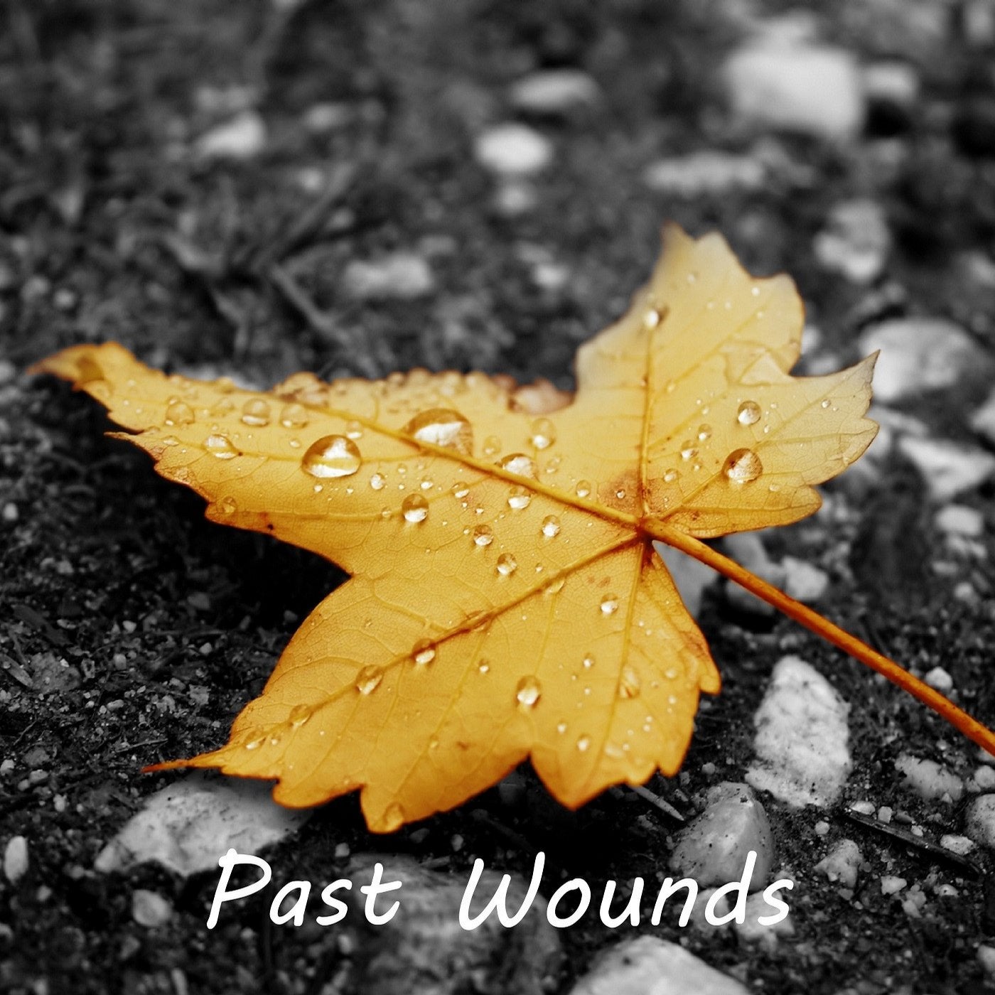 Past Wounds