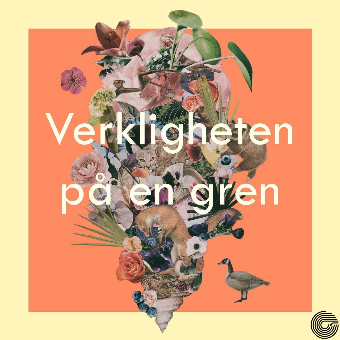 Verkligheten på en gren