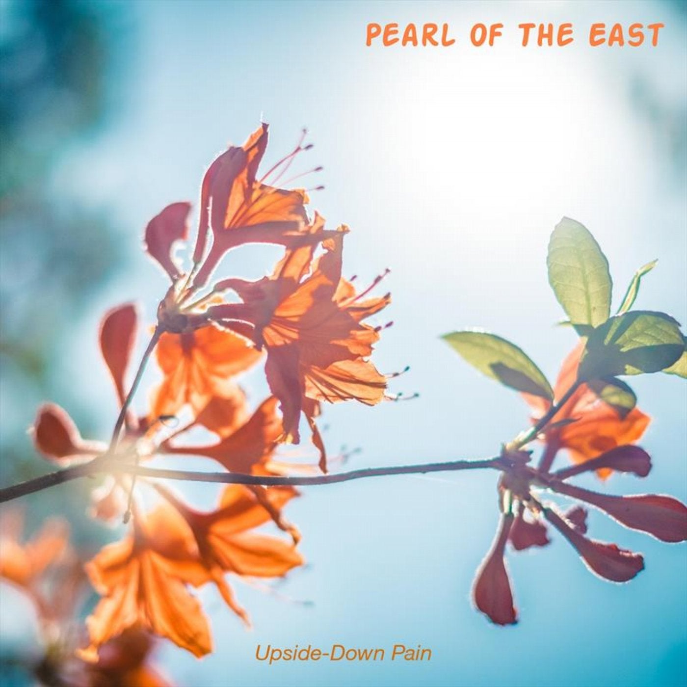 Pearl Of The East
