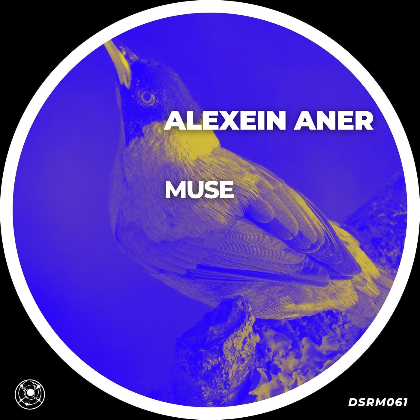 Muse