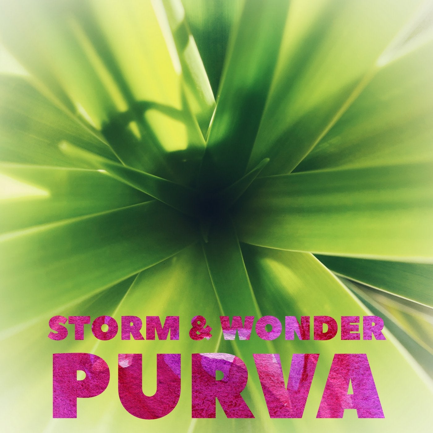 Purva