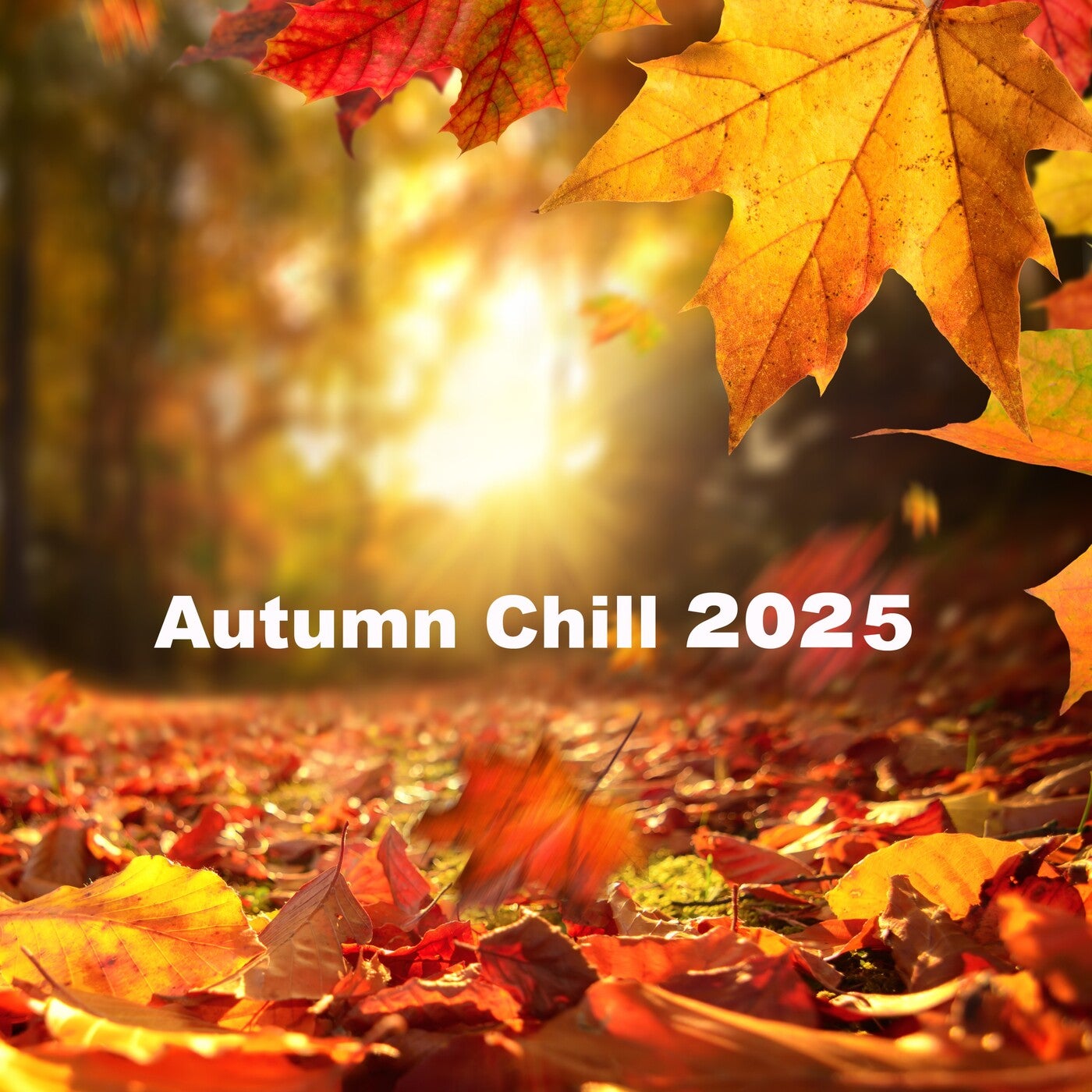 Autumn Chill 2025 (180 Minutes Relaxing Chill and Lounge Songs for Fall)