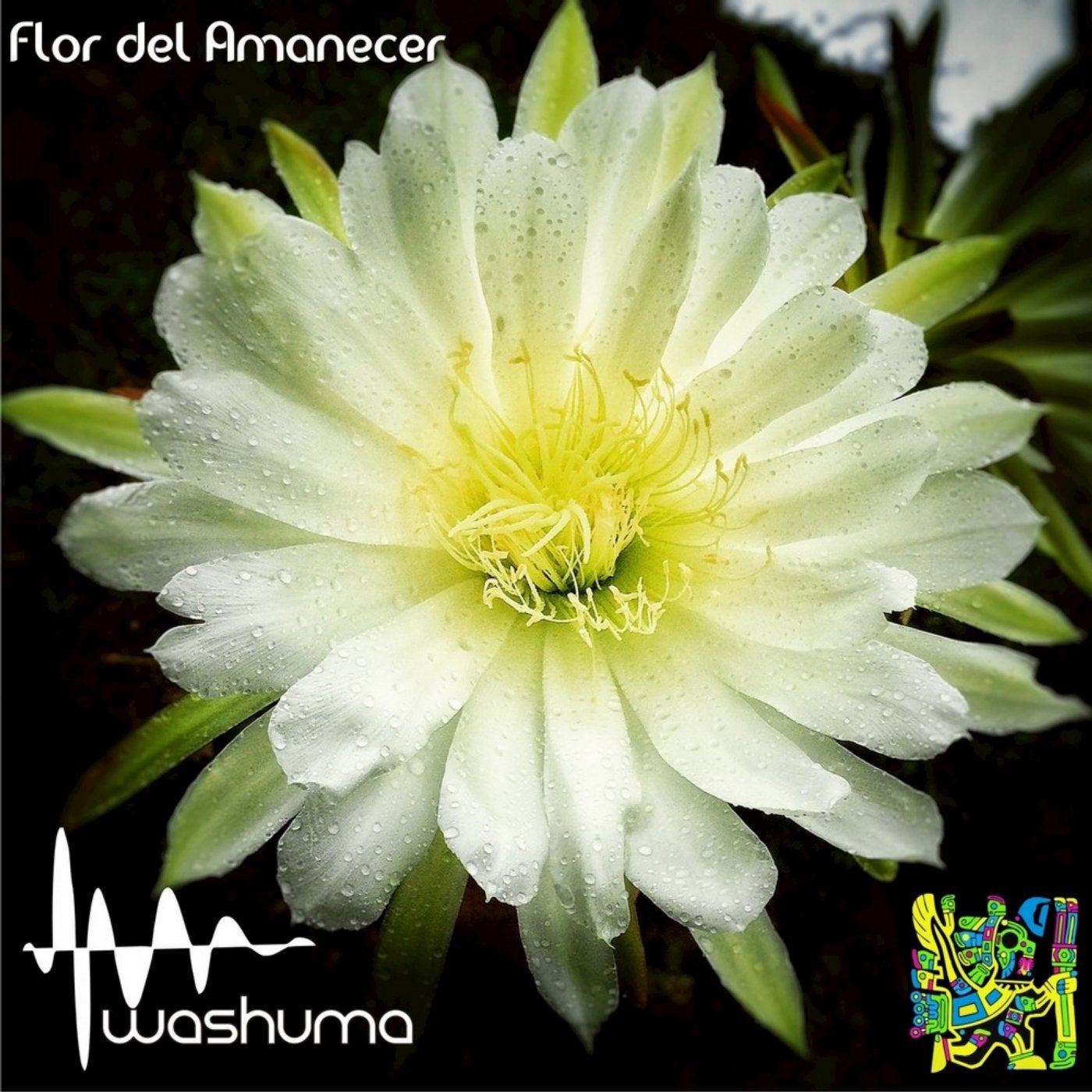 Flor Del Amanecer - Single