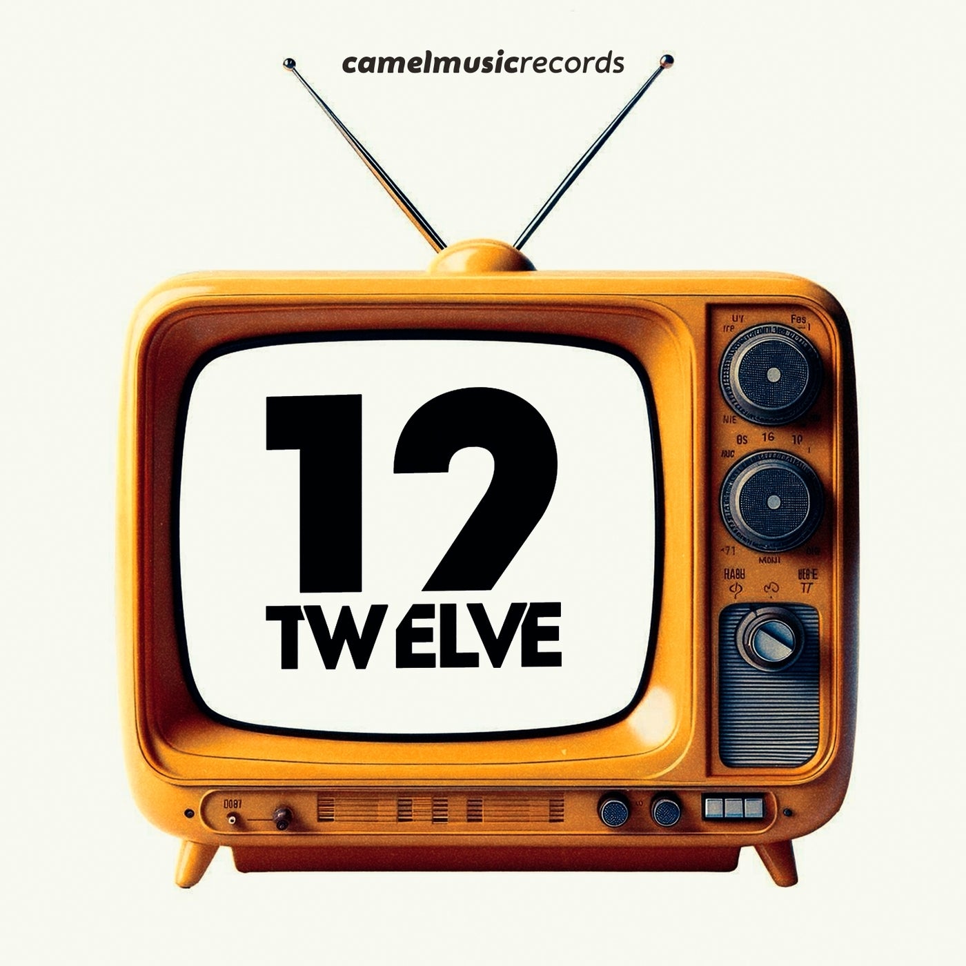Twelve Years, Music Selection