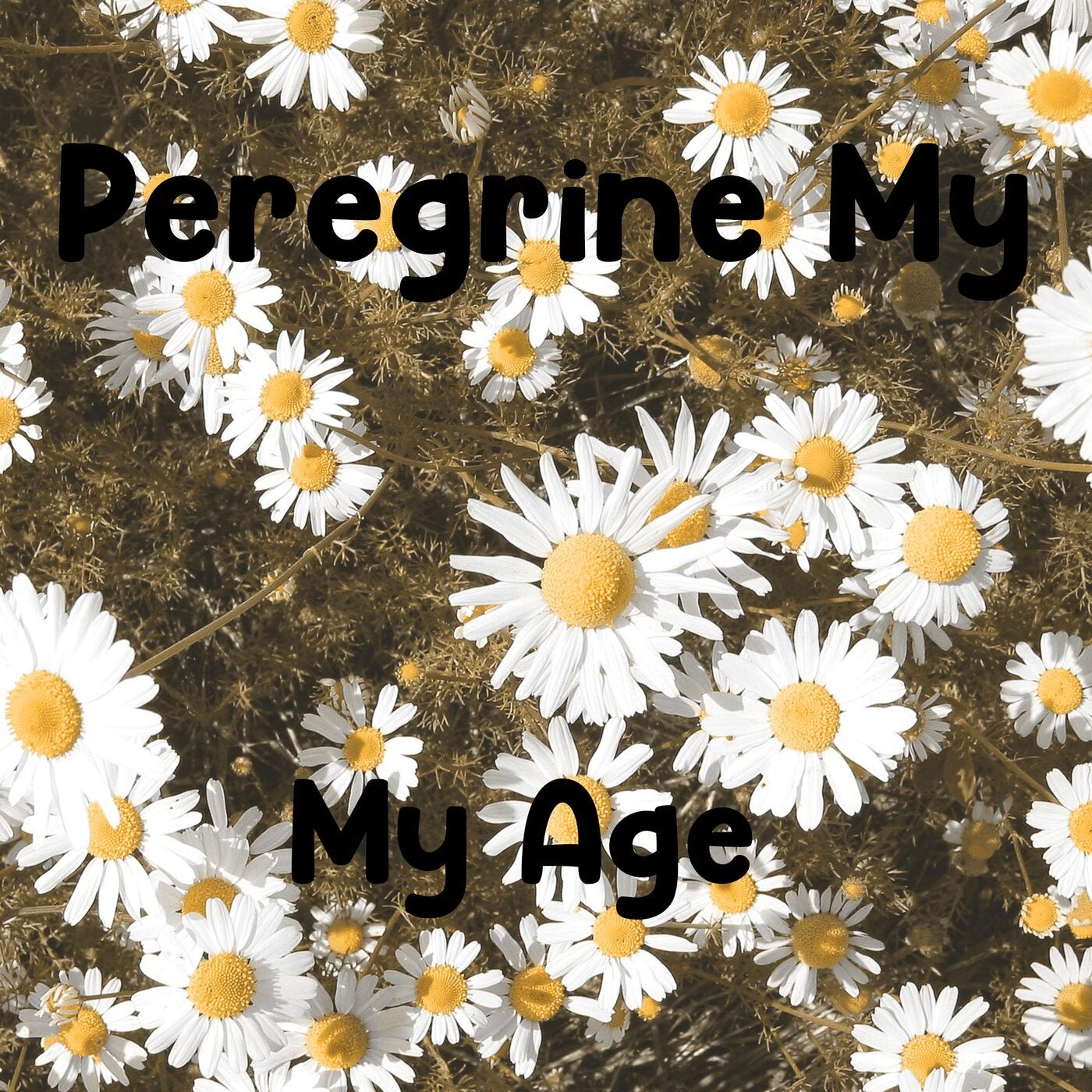 My Age