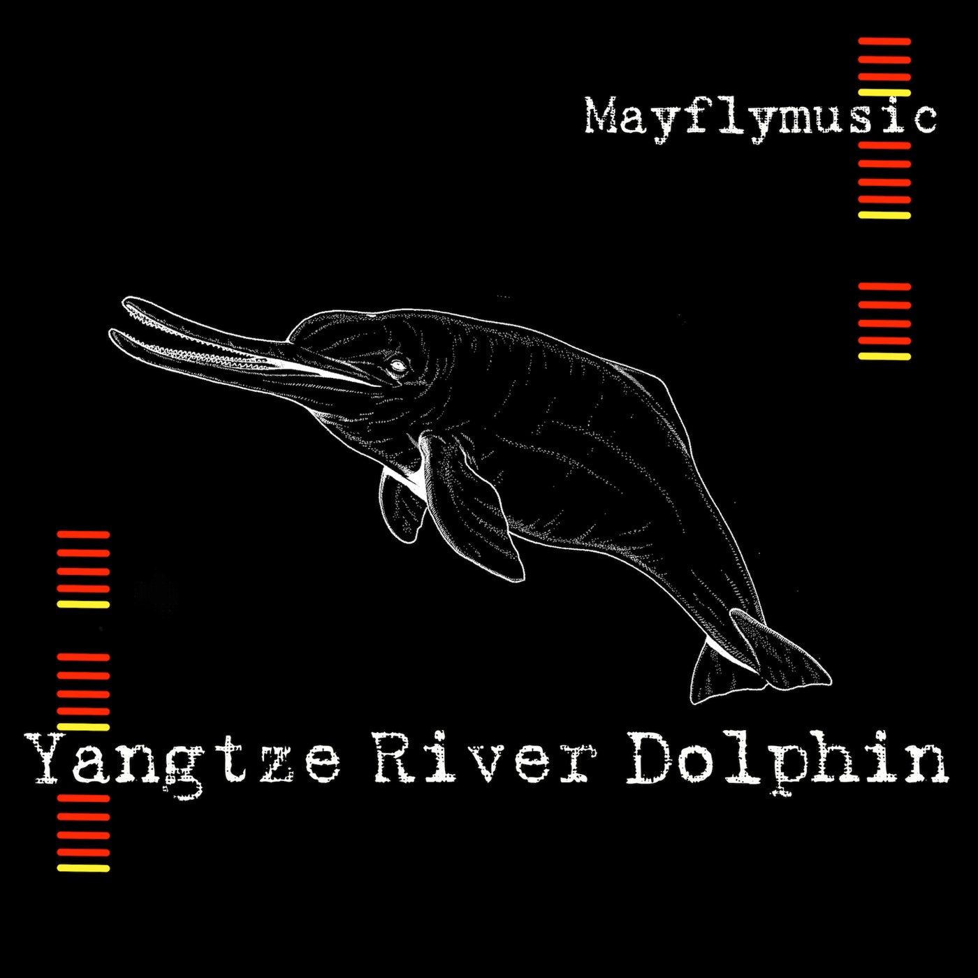 Yangtze River Dolphin