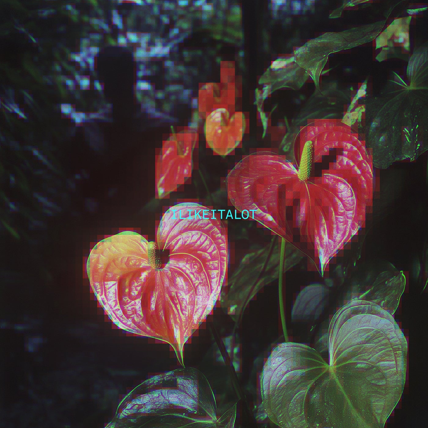 ilikeitalot