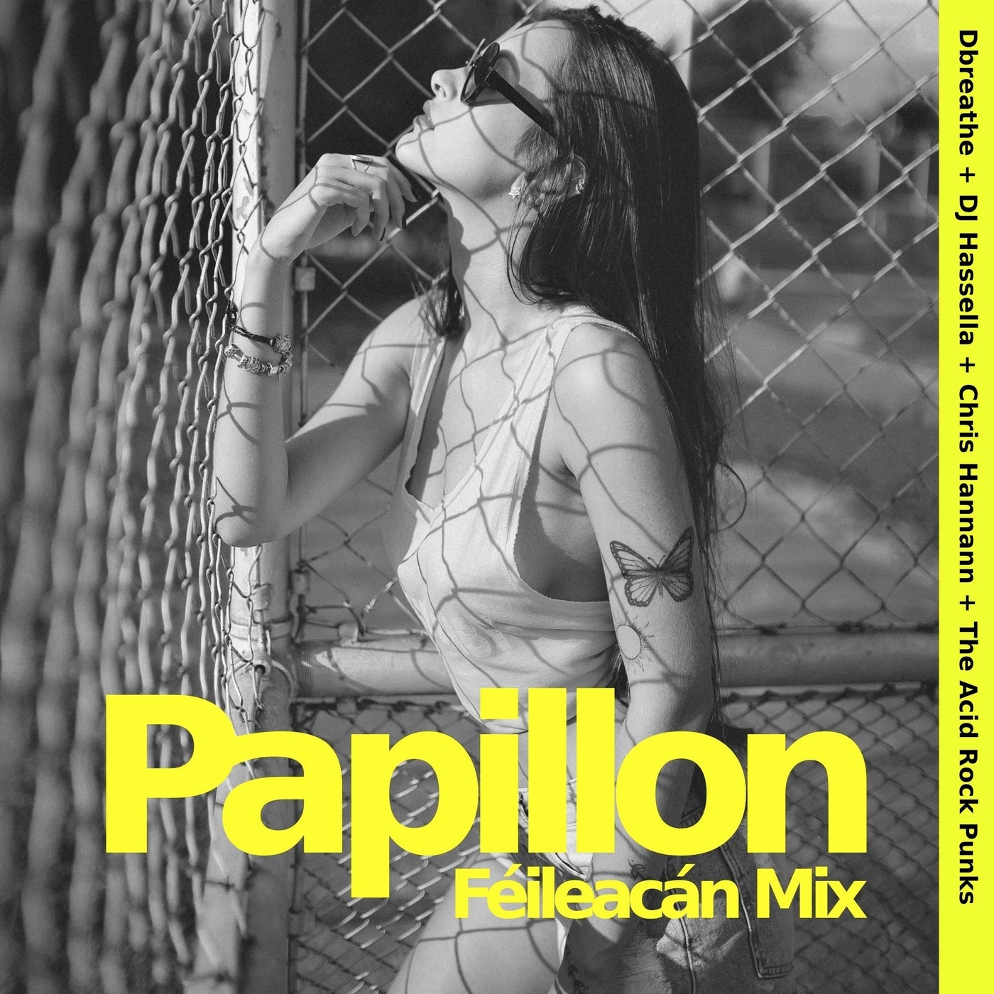 Papillon (Feileacan Mix)