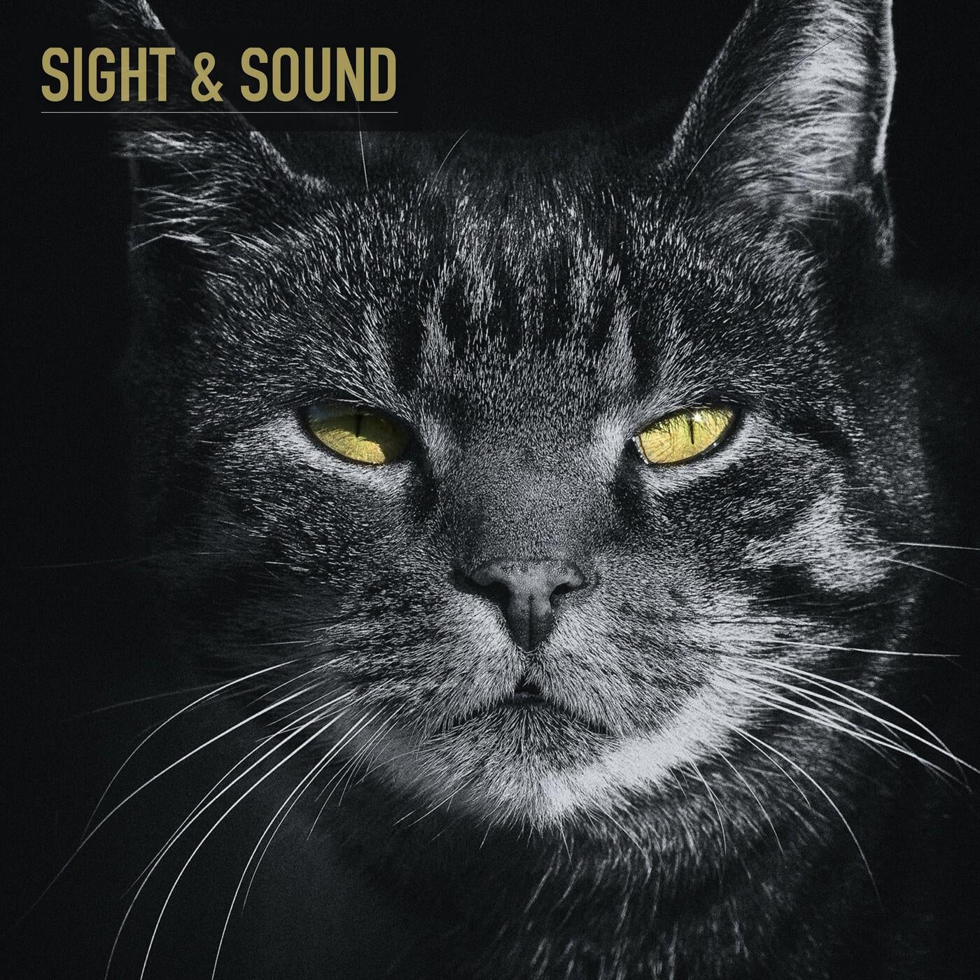 Sight & Sound