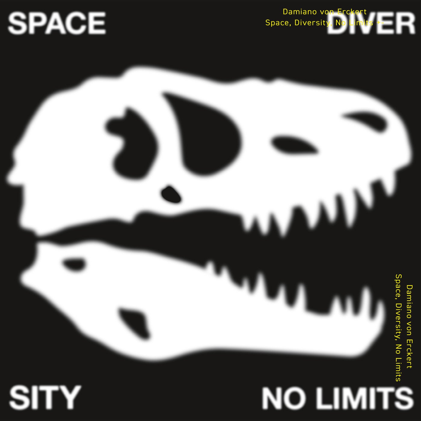 Space, Diversity, No Limits
