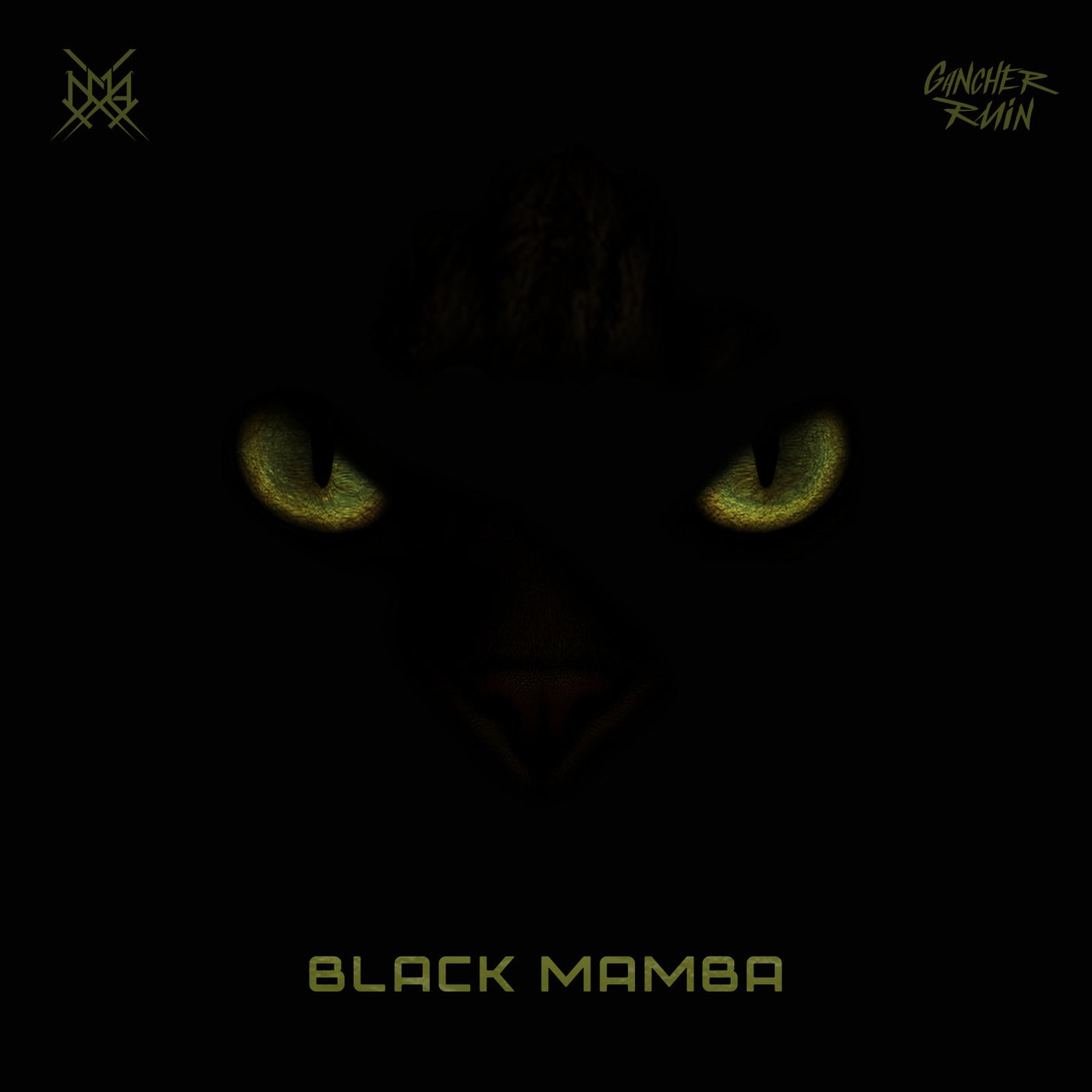 Black Mamba