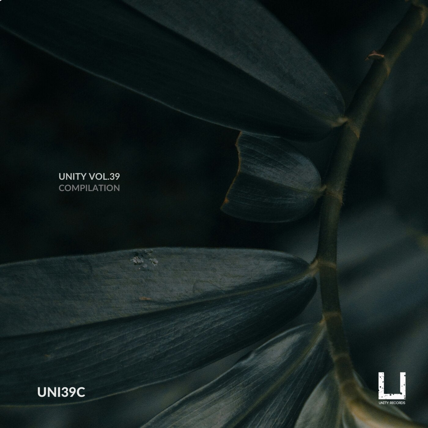 Unity Cd Rendiwa Alfa Cornae, D-Unity, Filterheadz, Yuuta, Melvin Spix, System 97 ...