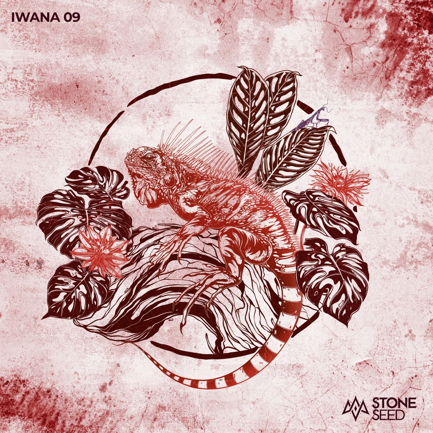 VA – IWANA 09 SS096 VA – IWANA 09 SS096