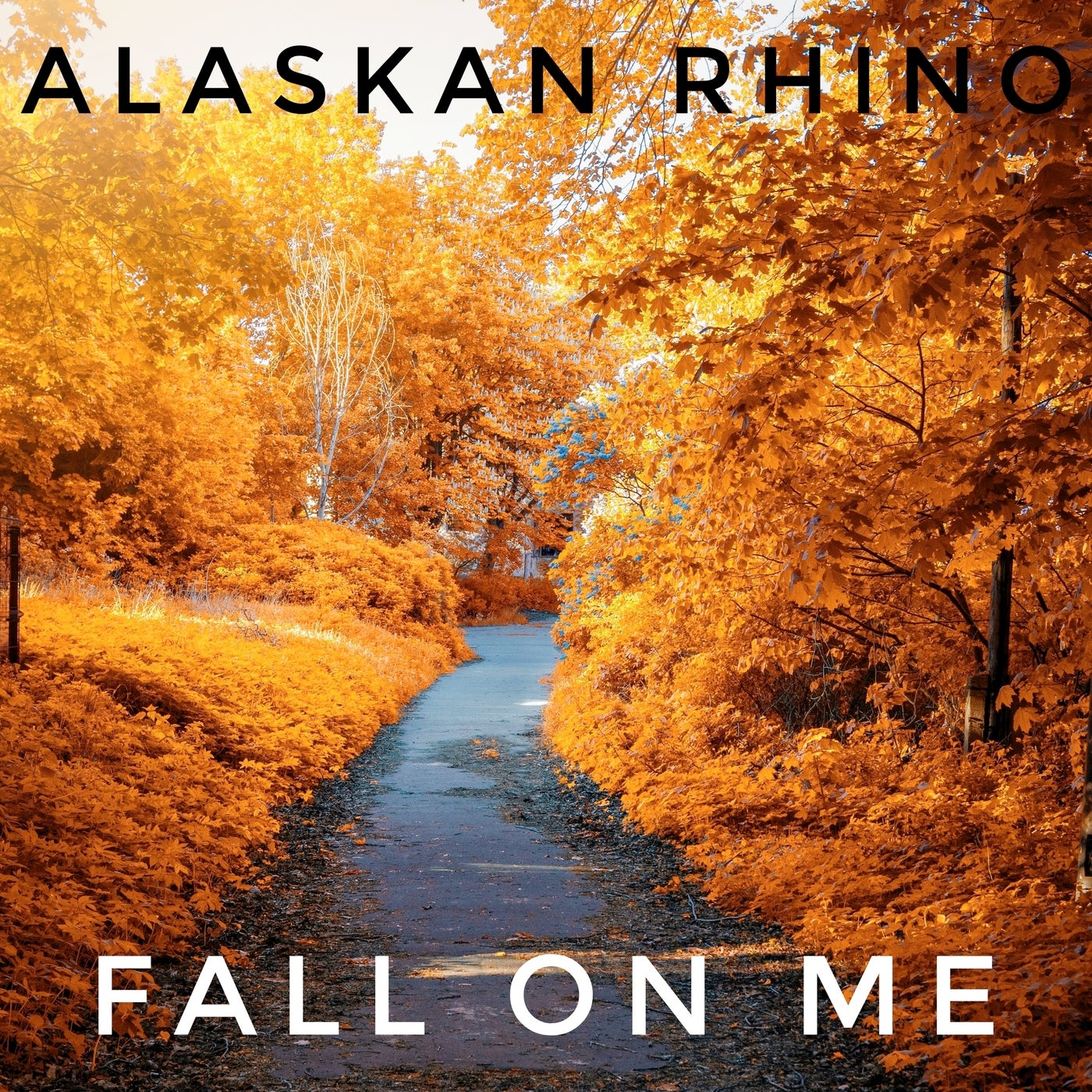 Fall on Me