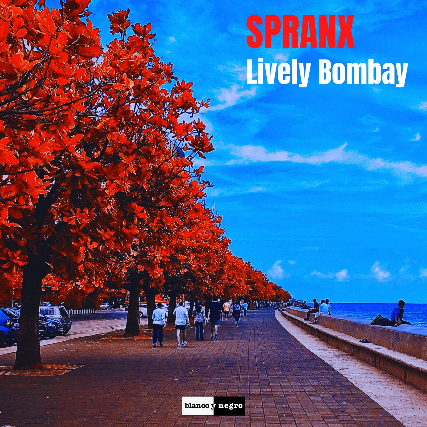 Lively Bombay