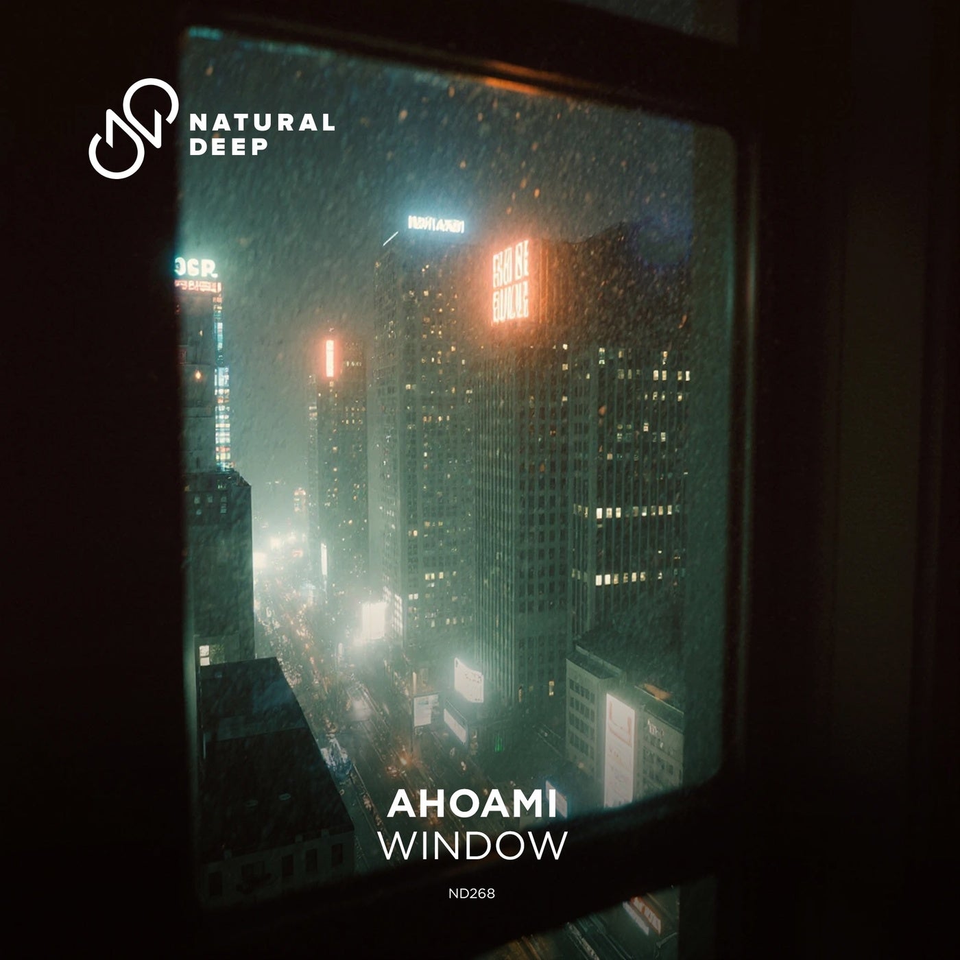 Window