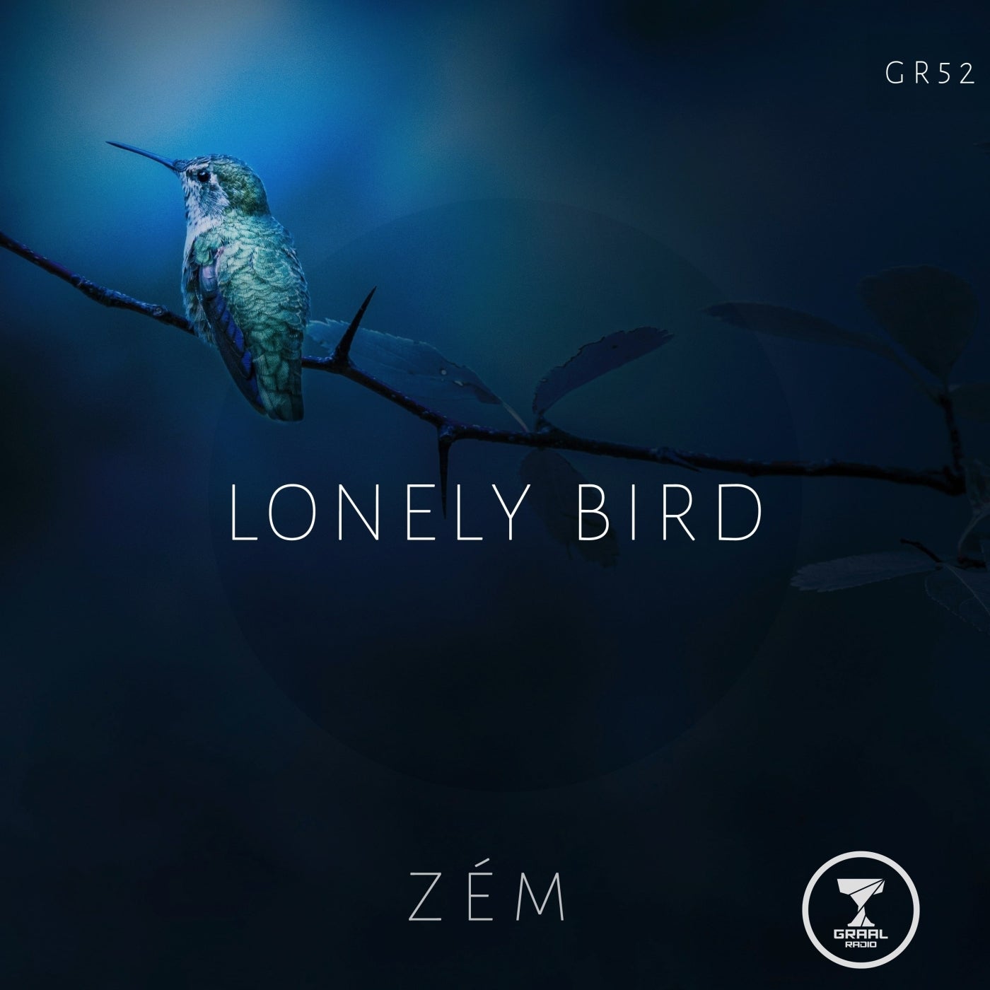 Lonely Bird