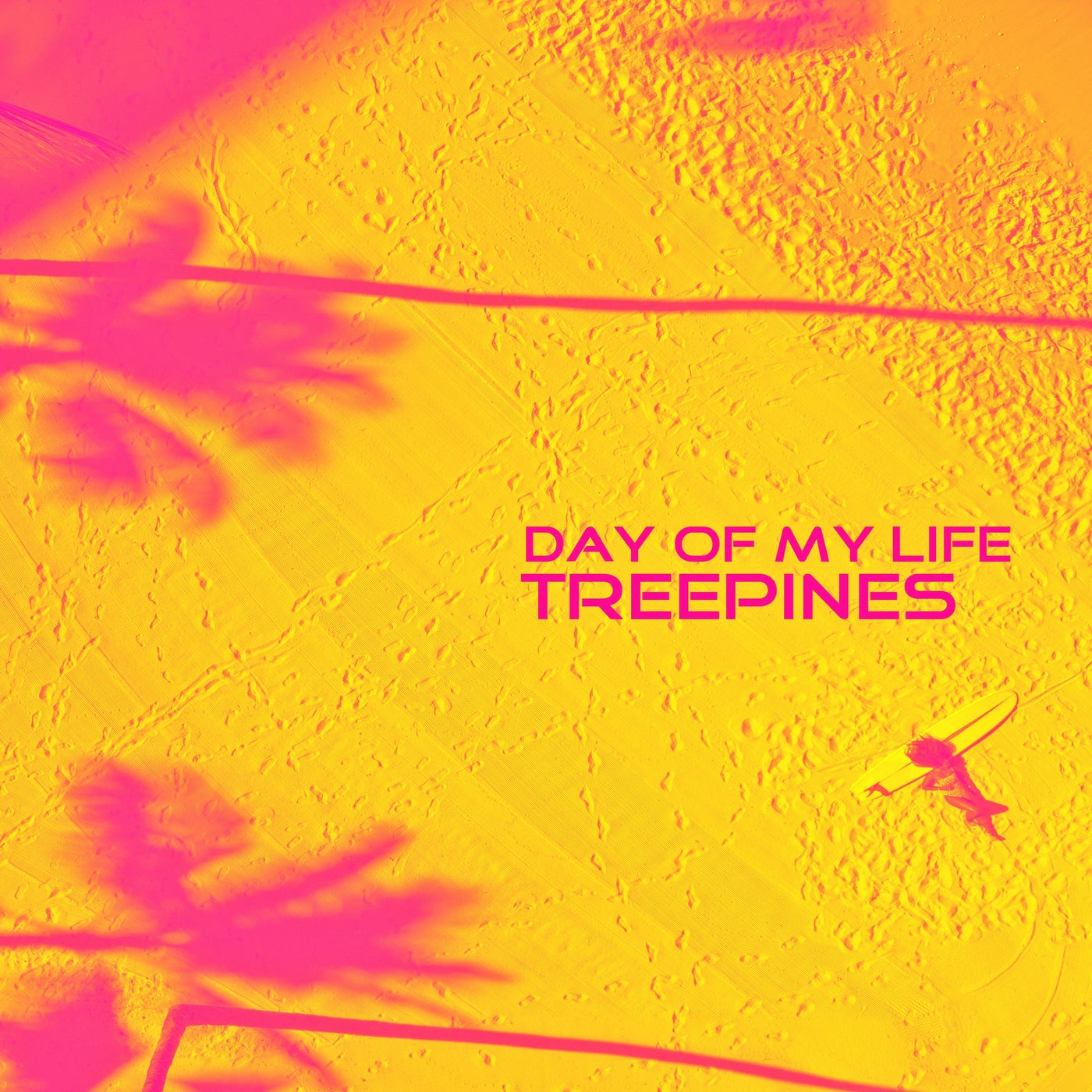 Day of My Life (Electronic Remix)