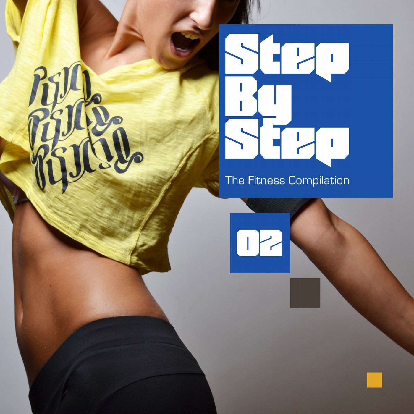 Step by Step - The Fitness Compilation, Vol. 2