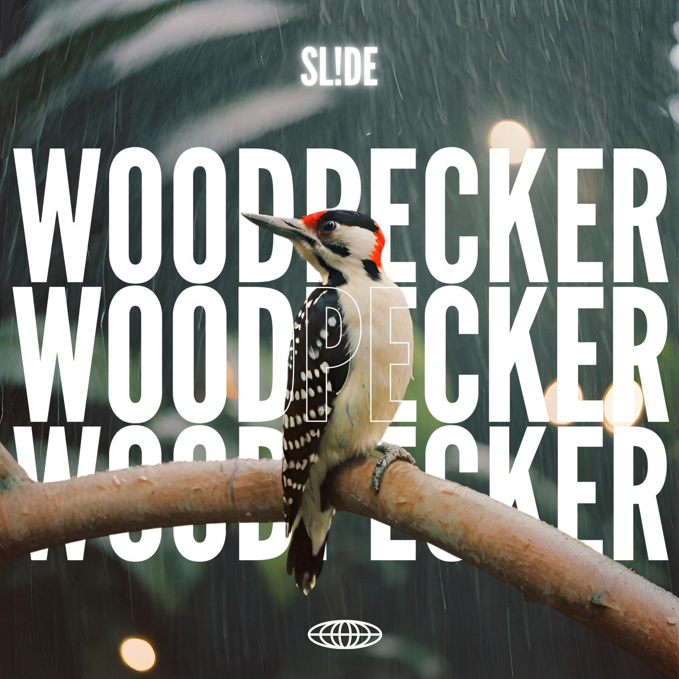 Woodpecker