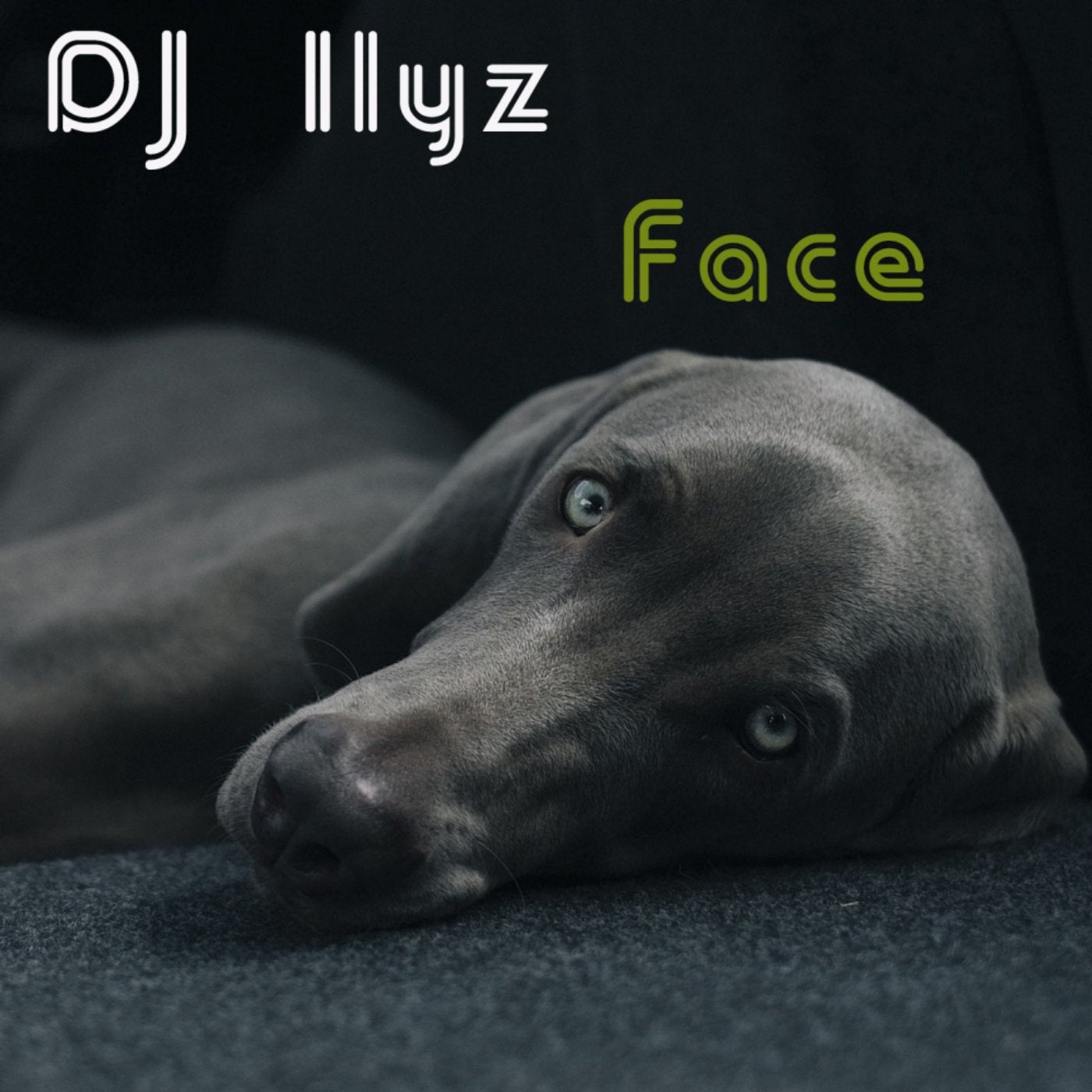 Dj Ilyz music download - Beatport
